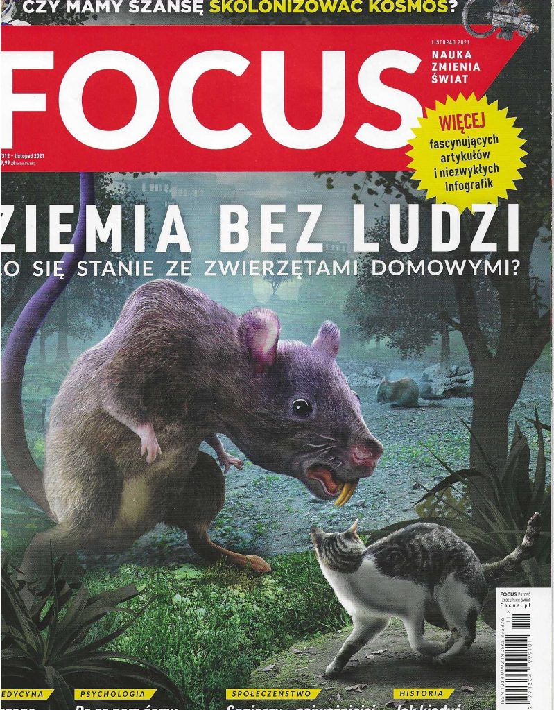Focus__2021_nr 11