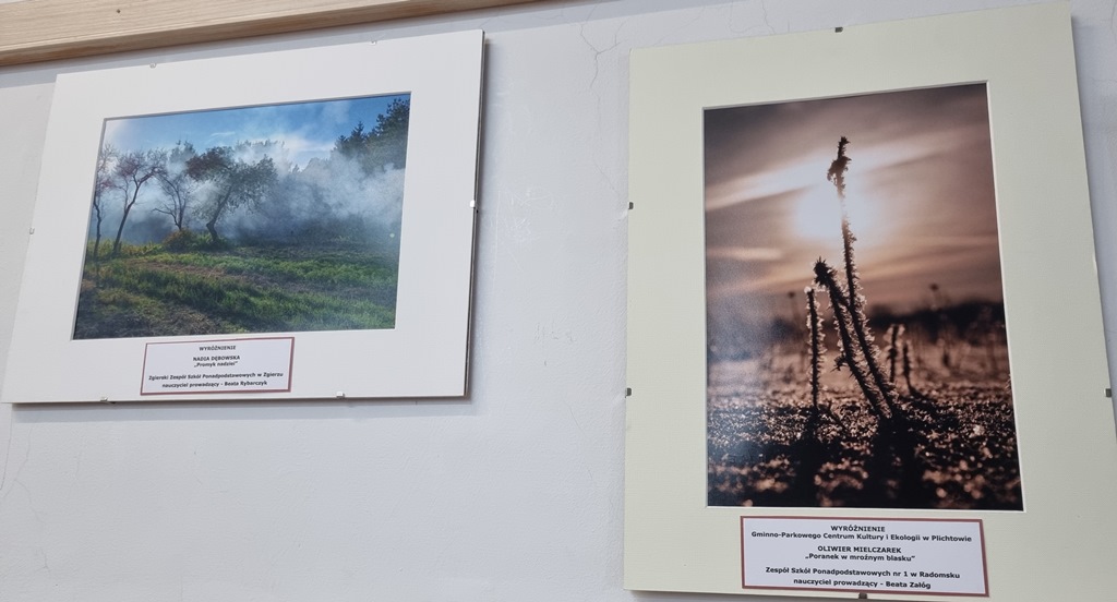 Nagrodzone prace w konkursie Przeglądu Twórczości