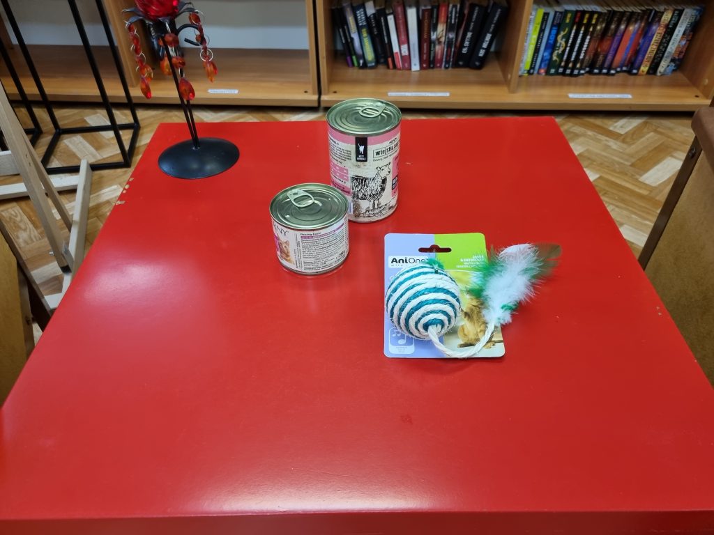 Na czerwonym stoliku zabawka i puszki dla kota