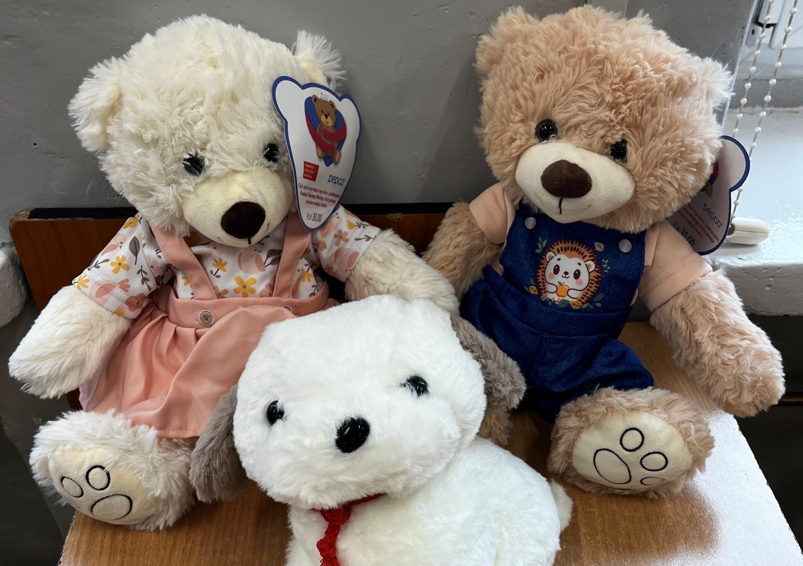 Akcja Dnia Pluszowego Misia 2025